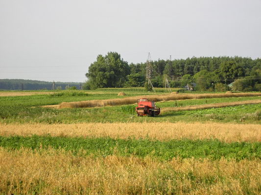Щоб збільшити натисніть
