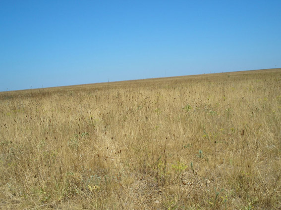 Щоб збільшити натисніть