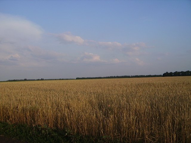 Щоб збільшити натисніть